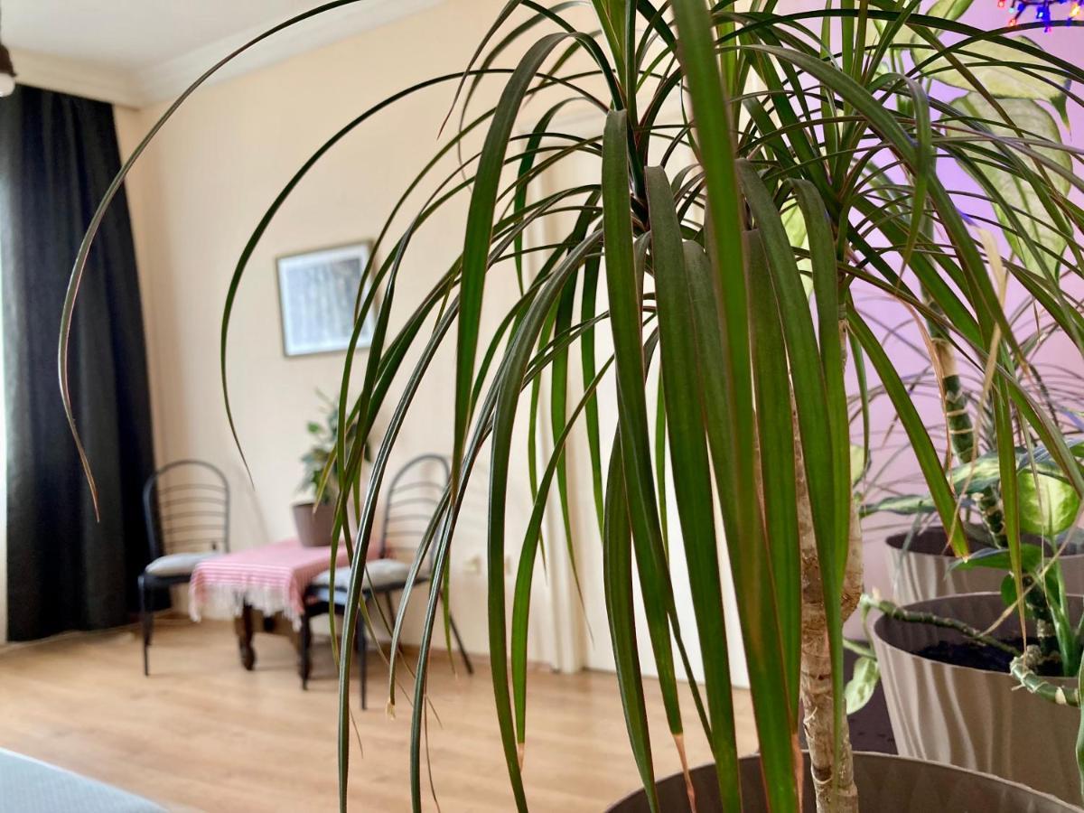 Terazije Square Lux Apartment 베오그라드 외부 사진